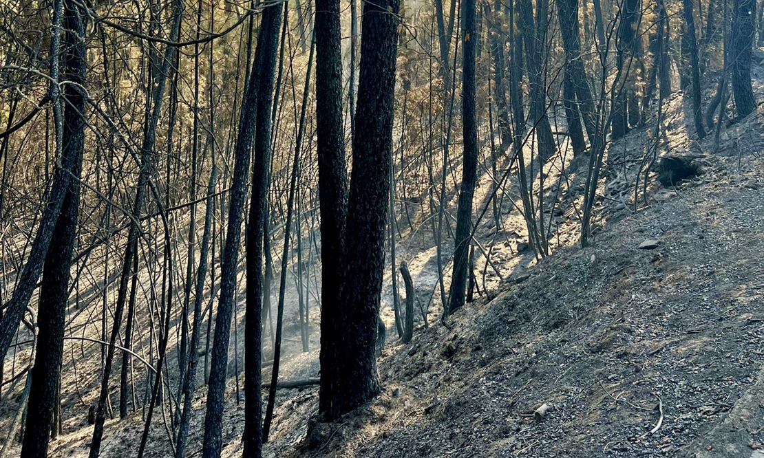 El incendio de Las Hurdes y Gata ha arrasado aproximadamente con 10.000 hectáreas