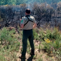 Agentes del Medio Natural aparcan la huelga: &quot;Es momento de arrimar el hombro&quot;