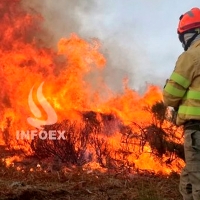 El INFOEX lucha contra un incendio nivel 1 de peligrosidad en Don Benito