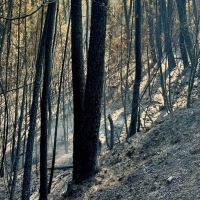 El incendio de Las Hurdes y Gata ha arrasado cerca de 10.000 hectáreas