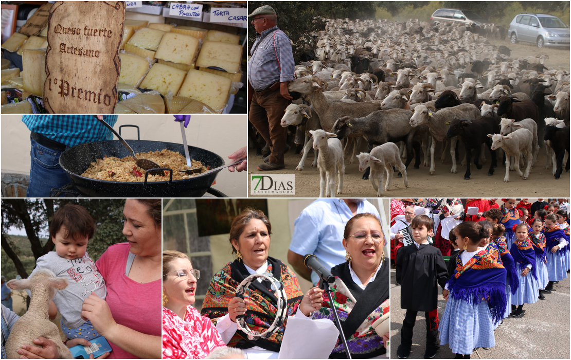 Imágenes que deja la Feria ‘Vive la Trashumancia y el Queso Artesano’ de Valverde