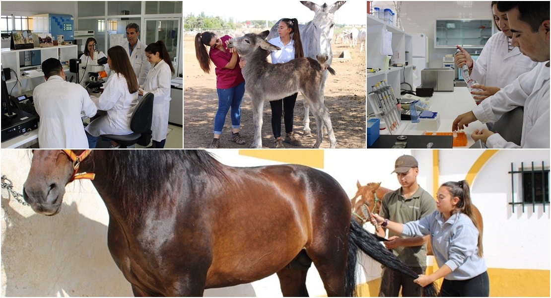 El Centro de Selección y Reproducción Animal de Extremadura acoge otros 48 estudiantes