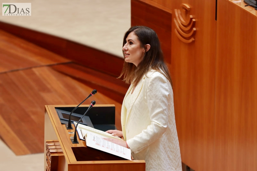 Constitución de la Asamblea: &quot;La sombra de próximas elecciones es más alargada hoy que nunca&quot;