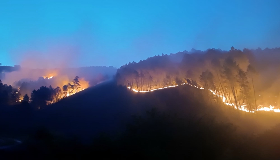 FEDEXCAZA solicita medidas urgentes para recuperar los recursos cinegéticos tras los incendios