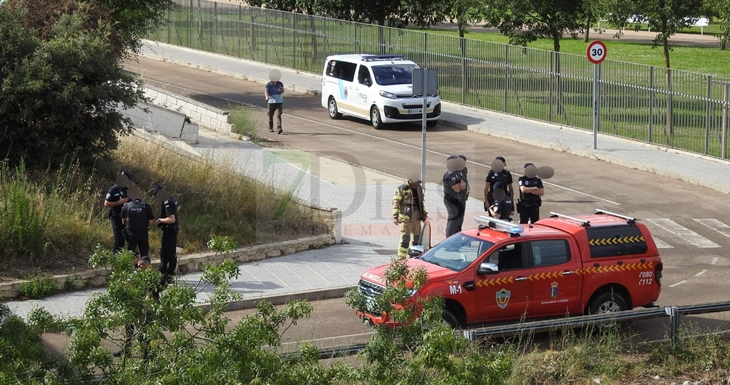 Se precipita al río Guadiana desde el Puente Real en Badajoz