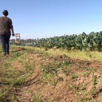 Fechas para solicitar las ayudas a jóvenes agricultores en Extremadura