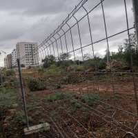 Las máquinas arrasan gran parte del Parque Ascensión de Badajoz