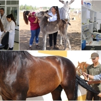 El Centro de Selección y Reproducción Animal de Extremadura acoge otros 48 estudiantes