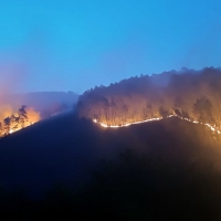 FEDEXCAZA solicita medidas urgentes para recuperar los recursos cinegéticos tras los incendios