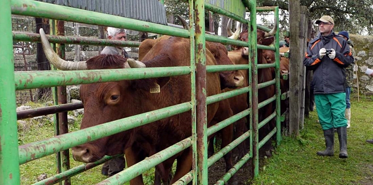 Apag Extremadura exige al Ministerio soluciones con respecto a la tuberculosis