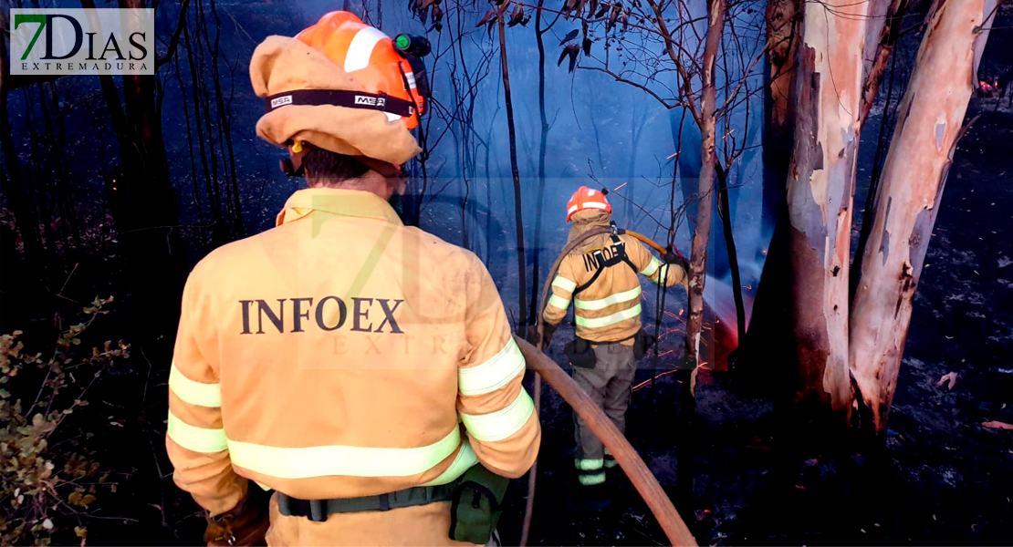 Un incendio quema unas 10 hectáreas de terreno agrícola y forestal en Sagrajas (BA)