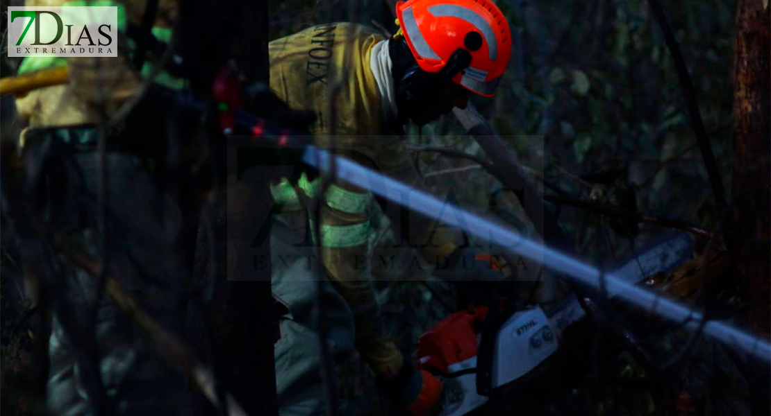 Un incendio quema unas 10 hectáreas de terreno agrícola y forestal en Sagrajas (BA)