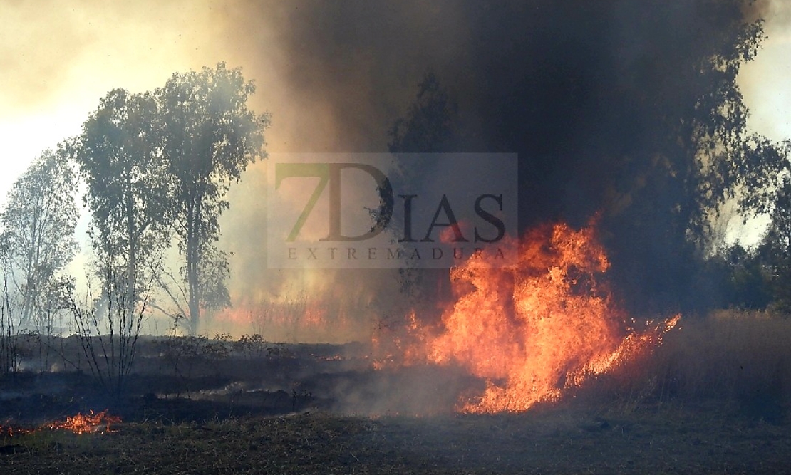 REPOR: Imágenes que deja el incendio forestal de la EX-209