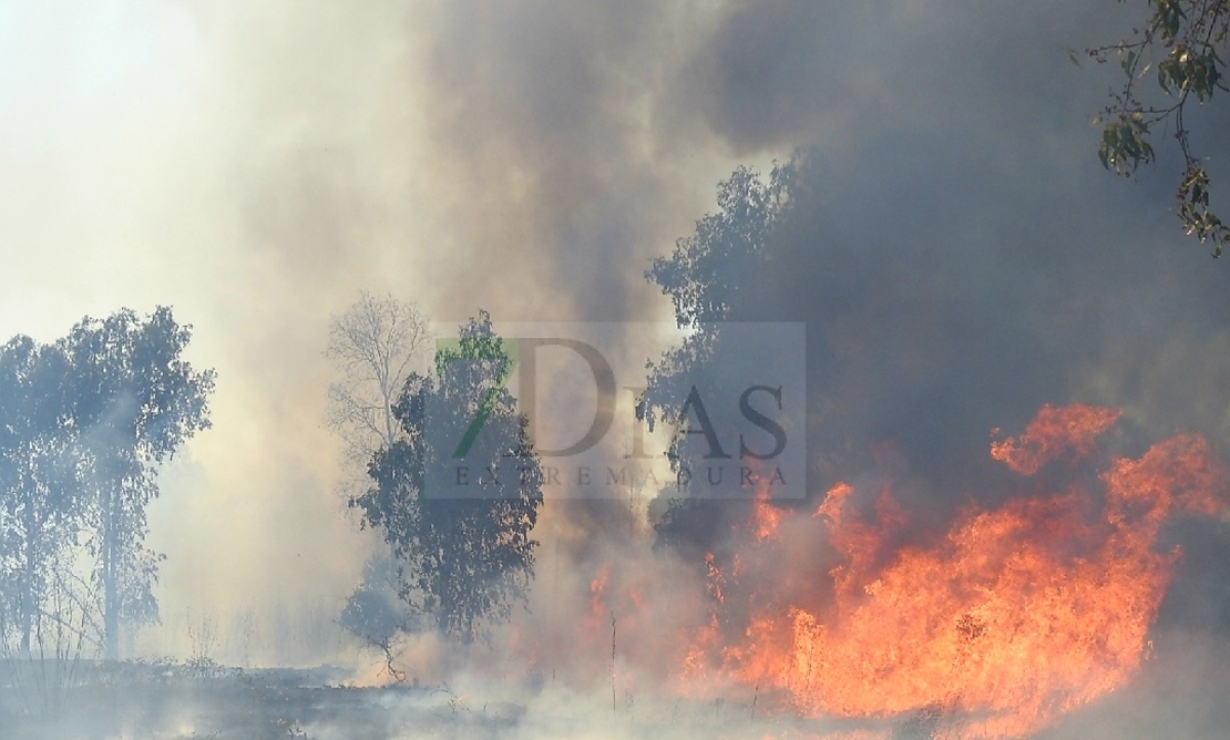 REPOR: Imágenes que deja el incendio forestal de la EX-209