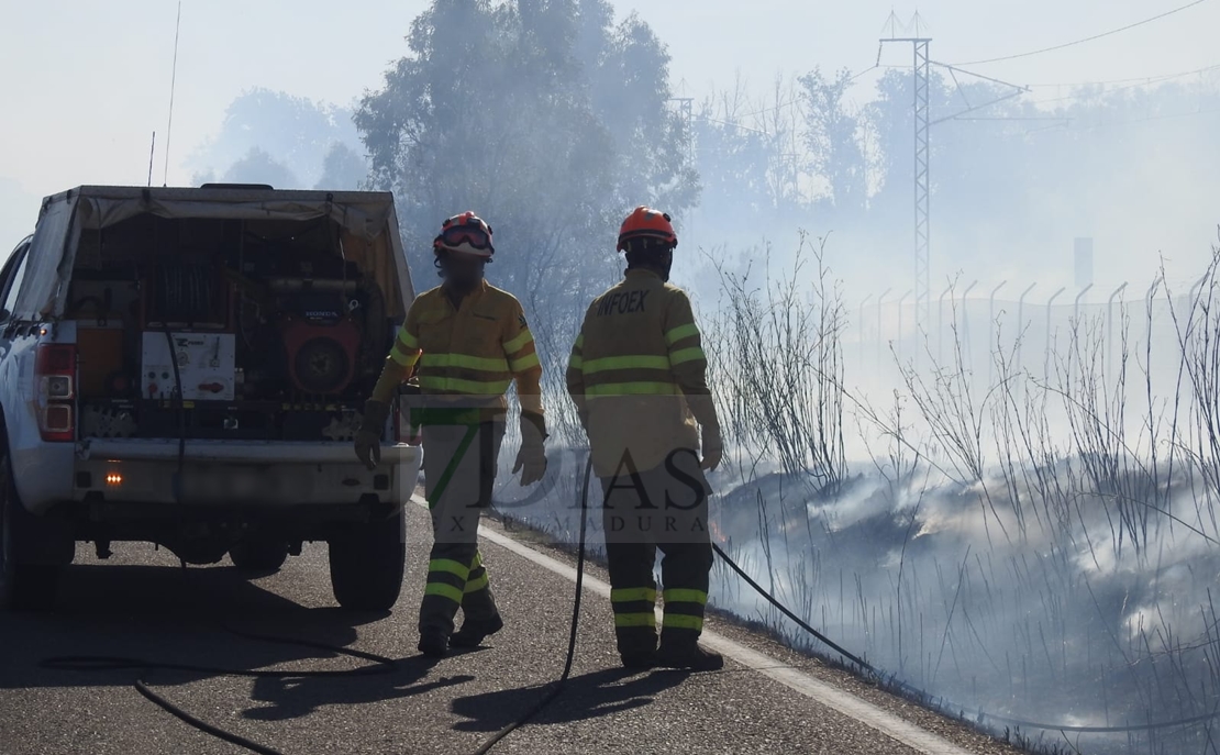 REPOR: Imágenes que deja el incendio forestal de la EX-209