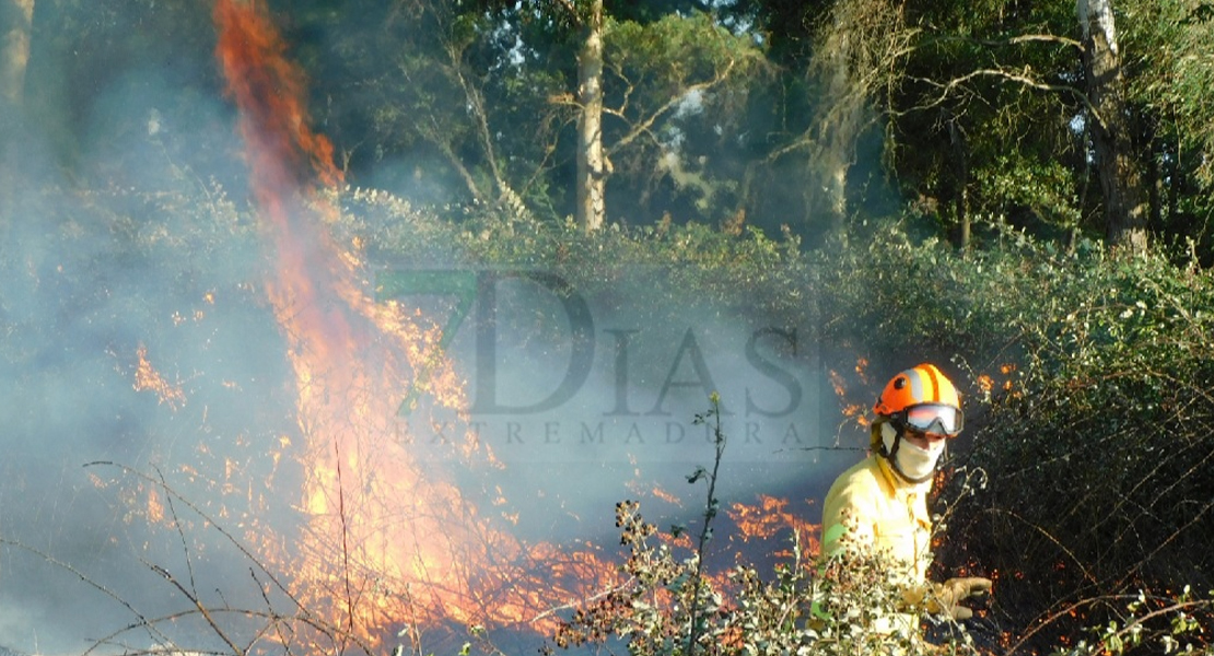 Incendio forestal en Talavera