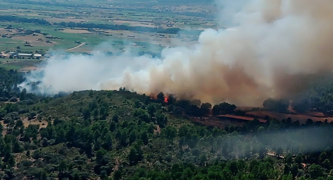 Activo un incendio forestal en la Vera