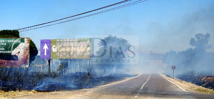 Bomberos trabajaban varias horas en un incendio en Los Montitos (BA)