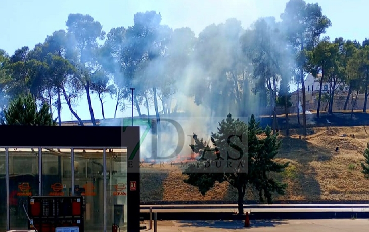 Los bomberos extinguen un incendio en las laderas de la Alcazaba