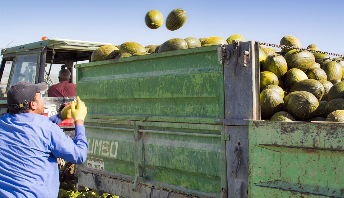 UPA denuncia distorsiones en los mercados de fruta