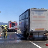 Cortan la A-66 tras el incidente con el tráiler cargado de animales