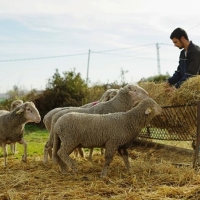 Información sobre las ayudas a explotaciones agrarias por la sequía en Extremadura