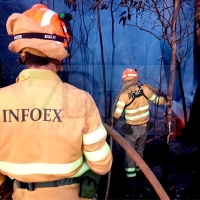 Un incendio quema unas 10 hectáreas de terreno agrícola y forestal en Sagrajas (BA)