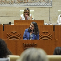 Detienen varias veces el discurso de Irene De Miguel: duras críticas a VOX y PP