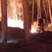 El fuego arrasa 100 hectáreas en Villanueva y Madrigal