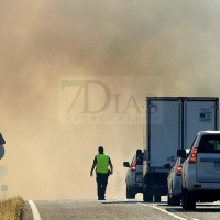 Cortan la EX-209 debido a un incendio forestal