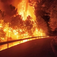 Peligro alto de incendios forestales: ¿cómo actuar ante ellos?