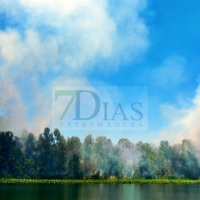 Los bomberos actúan en un incendio activo en ‘Las Crispitas’ (Badajoz)