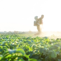 En Extremadura ya se habla de la IA en el sector agrario