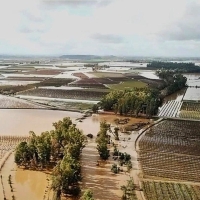 La CHG trabaja en las zonas inundables de distintos tramos de los ríos Guadiana y Gargálicas