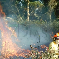 Incendio forestal en Talavera