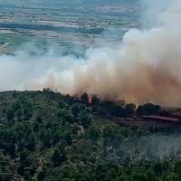 Activo un incendio forestal en la Vera