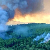 Las llamas se extienden sin control en un incendio forestal en La Vera (CC)