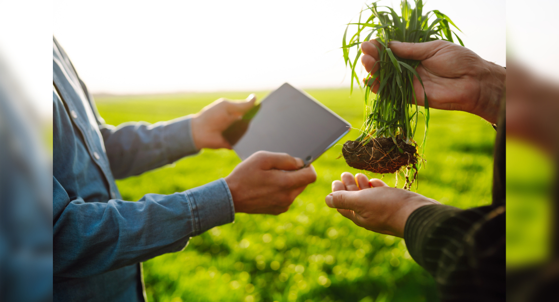 Ampliado el plazo y criterios del Kit Digital a empresas agrarias