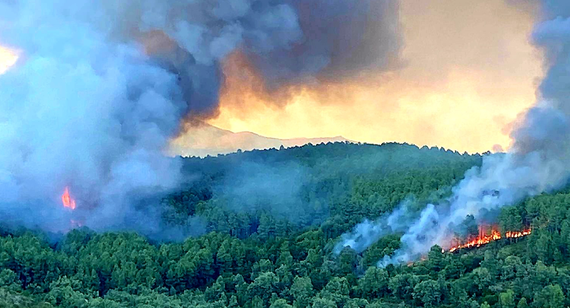 Las llamas se extienden sin control en un incendio forestal en La Vera (CC)