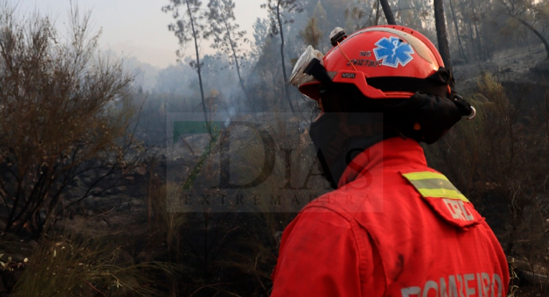 Así está la situación en el incendio de Portugal