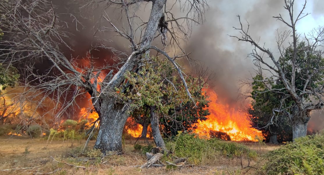 Incendio en Valencia de Alcántara: desalojadas varias edificaciones y 350 ha quemadas