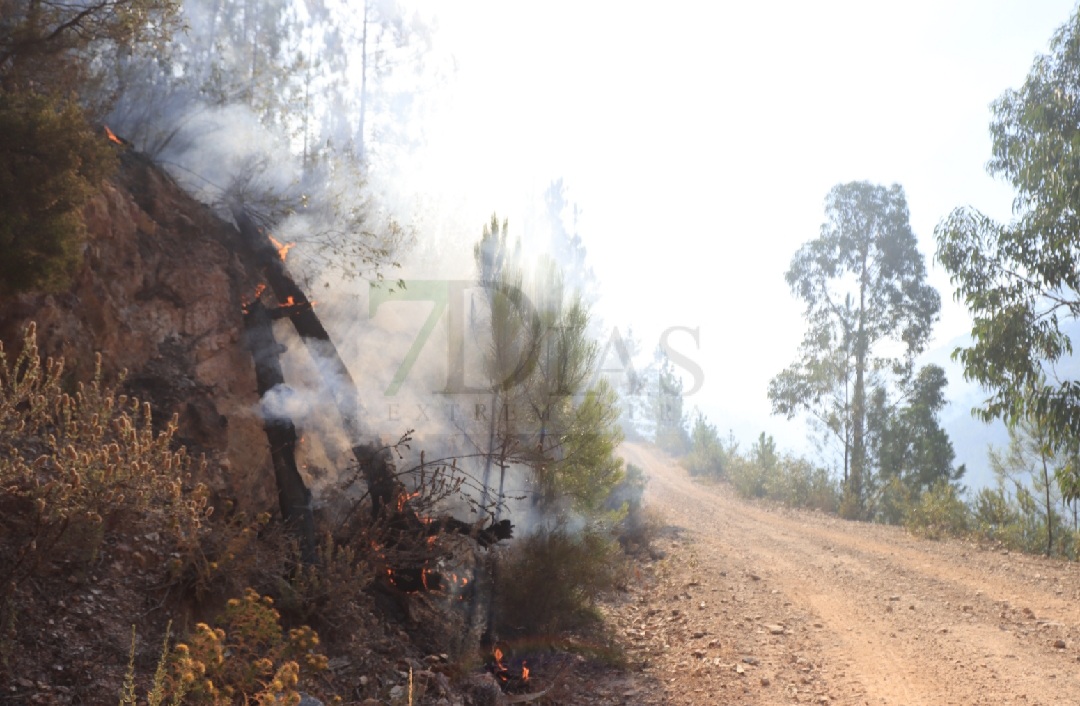 Así está la situación en el incendio de Portugal