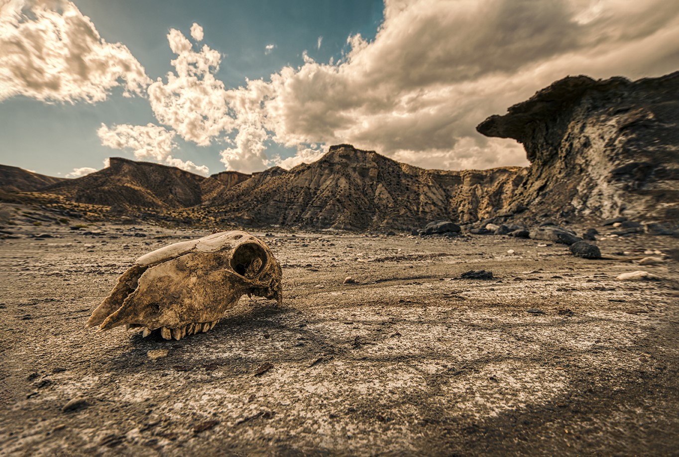 Jurado extremeño en el &#39;IX Concurso Internacional ArteSOSlidario&#39;