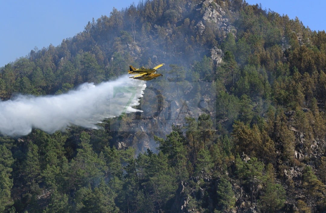 Así está la situación en el incendio de Portugal