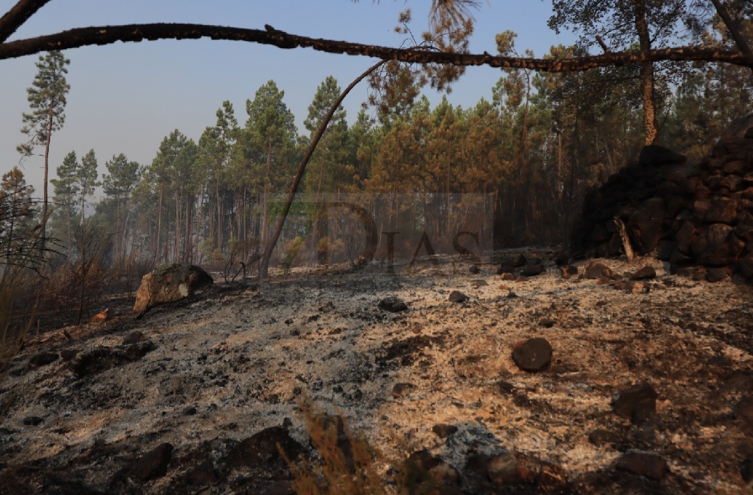 Así está la situación en el incendio de Portugal