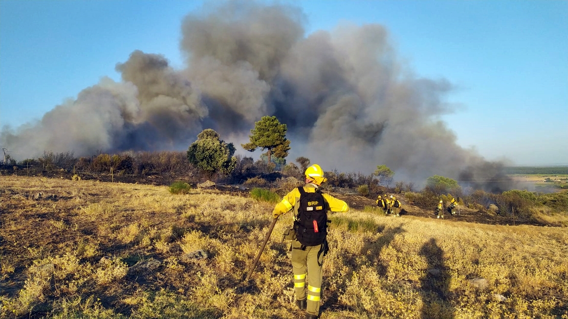 Estabilizado el incendio en Jaraíz de la Vera