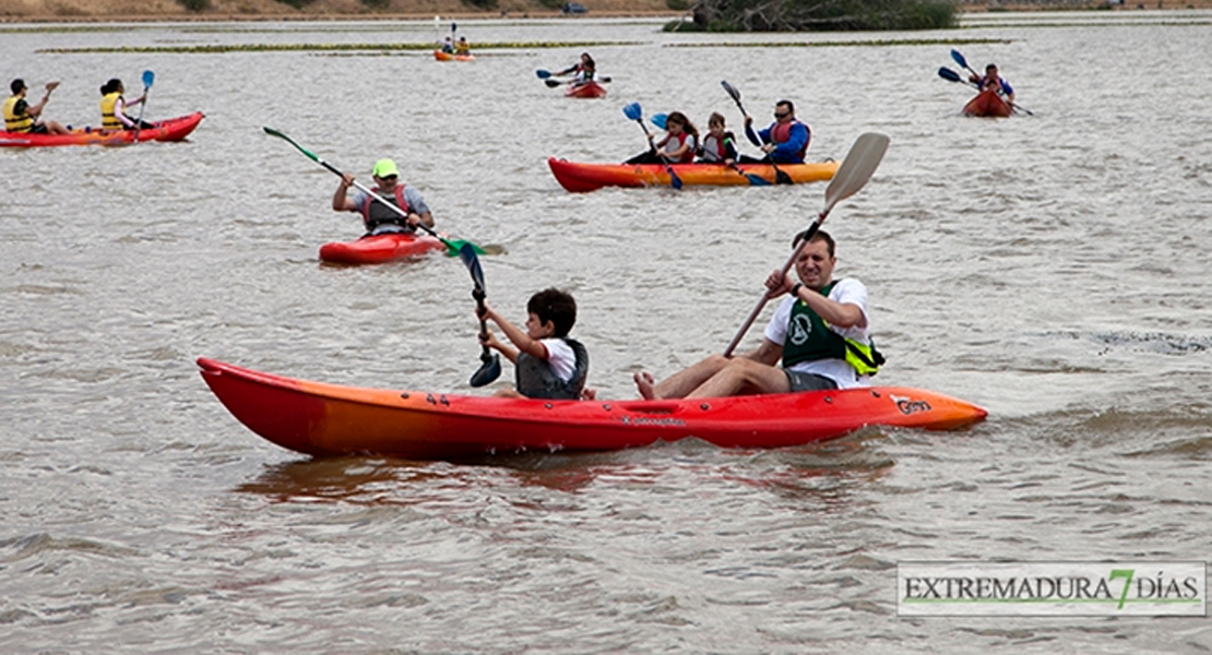 El Club Piragüismo Extremadura en el Campeonato de España de Barcos Dragón