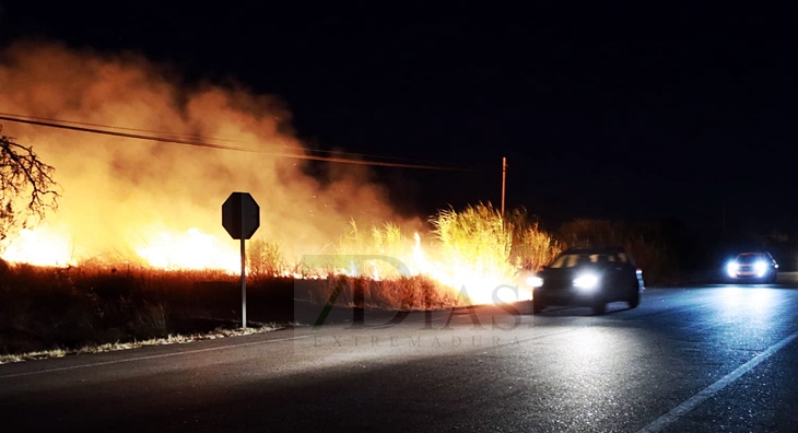 Fuera de control un incendio en la carretera de Olivenza