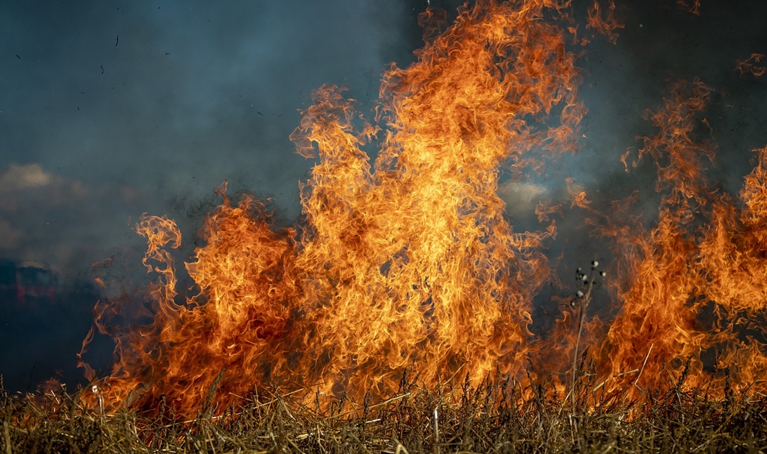 Piden precaución ante el alto riesgo de incendios por las altas temperaturas