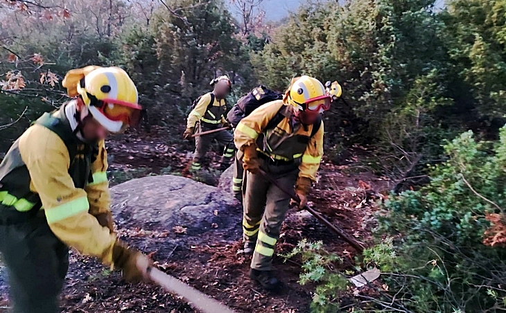 Extinguido el incendio forestal declarado en Collado de la Vera